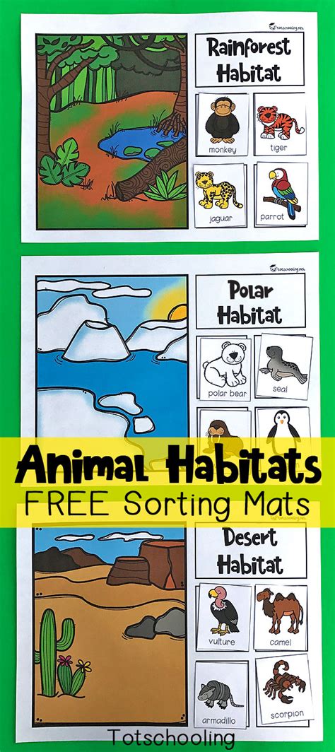 free printable editable habitat activity.